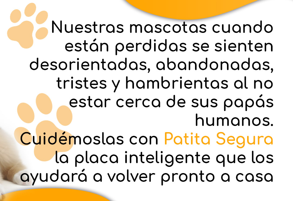 Energetika - Soluciones Digitales