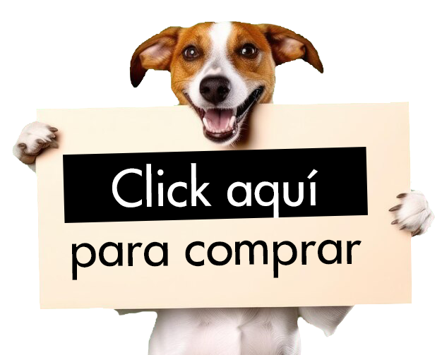 Energetika - Soluciones Digitales