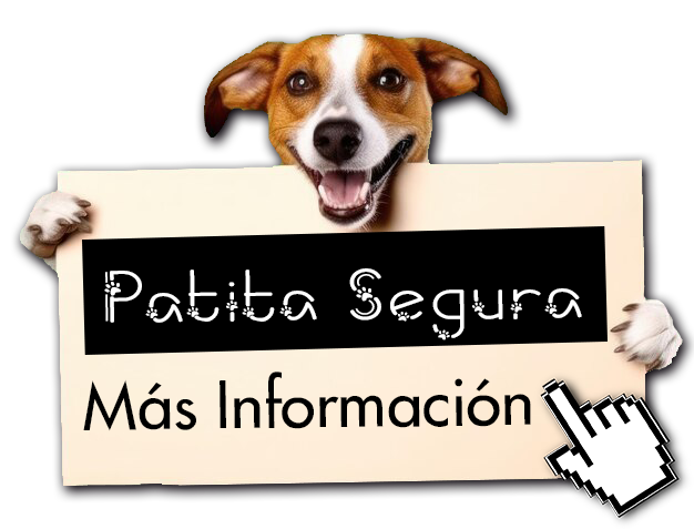 Energetika - Soluciones Digitales