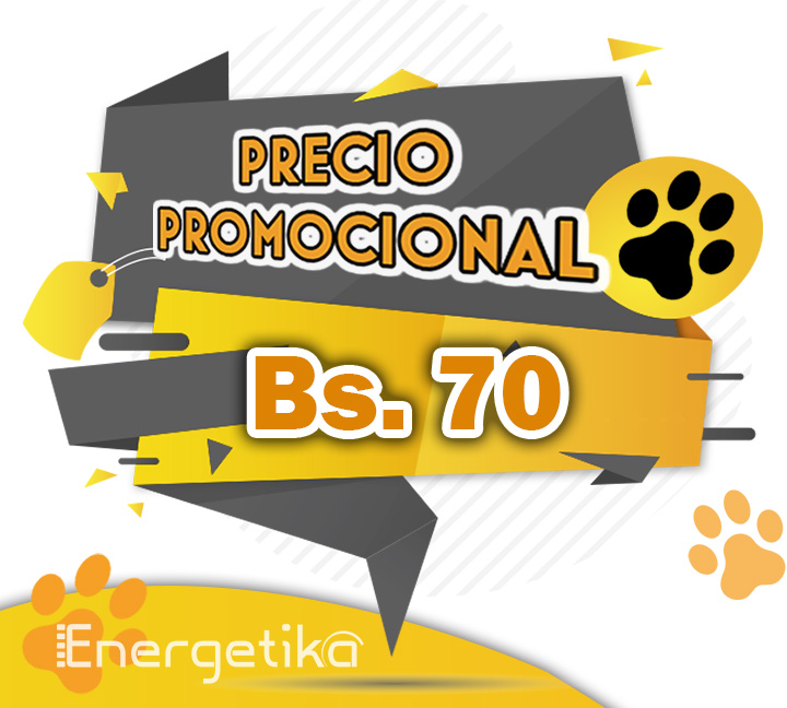 Energetika - Soluciones Digitales