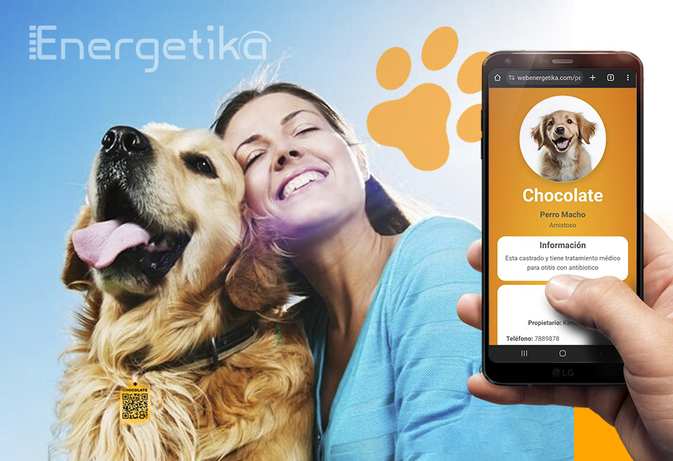 Energetika - Soluciones Digitales